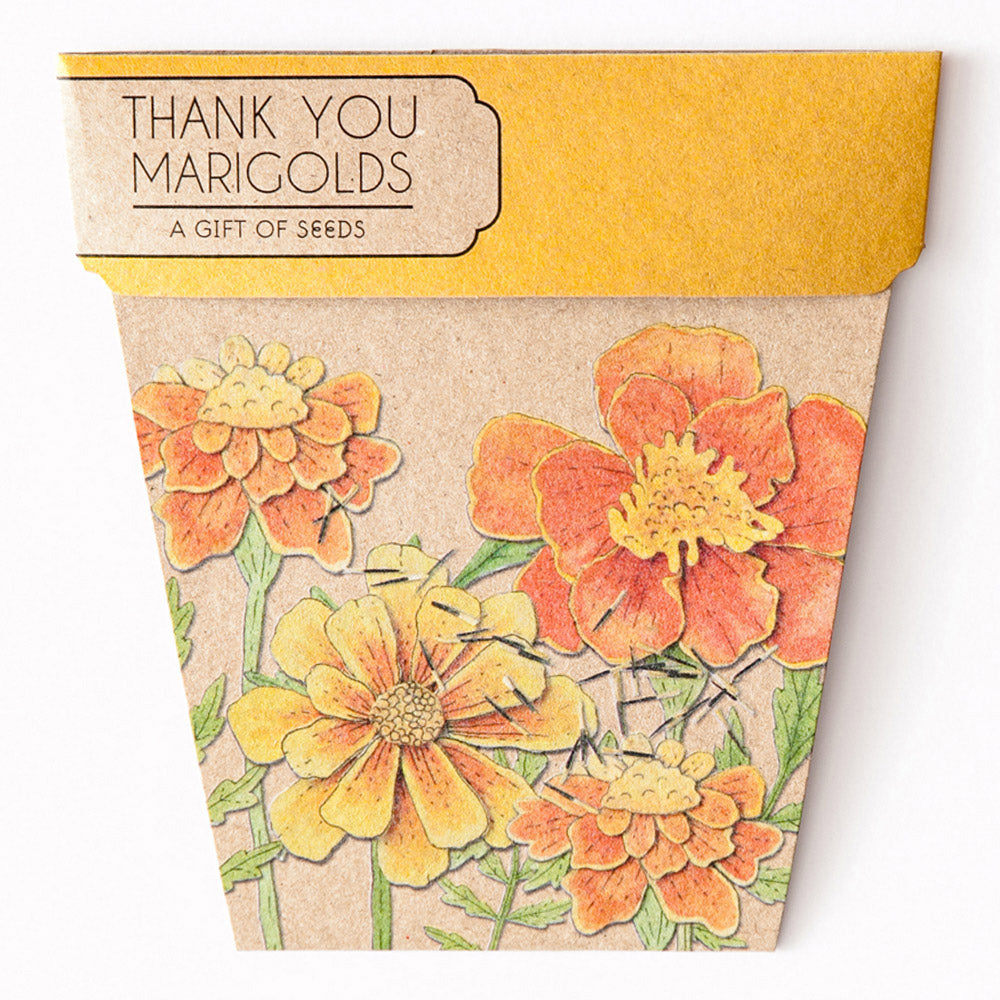 MARIGOLDS GIFT OF SEEDS